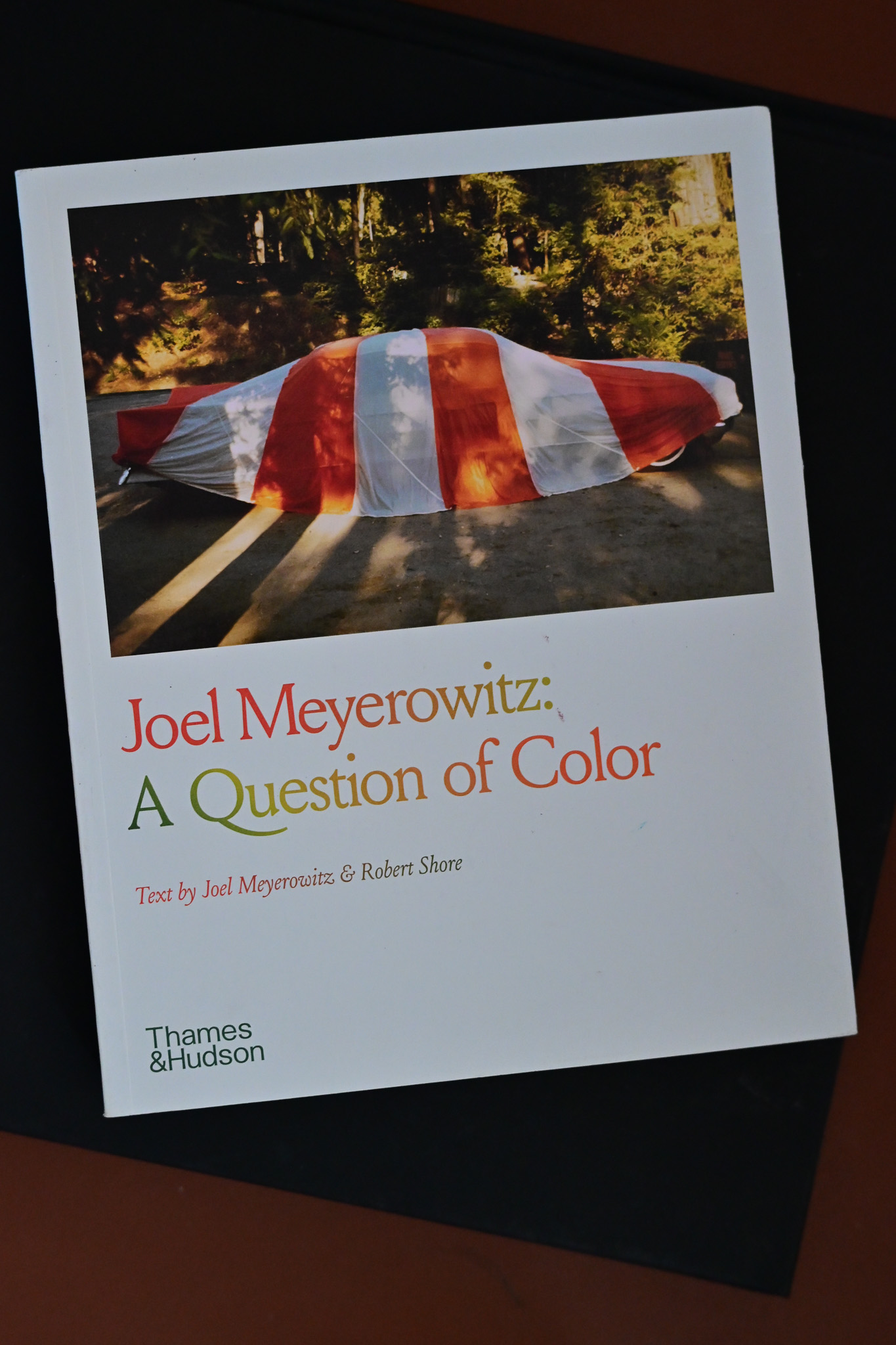 Cover of Joel Meyerowitz: A Question of Color