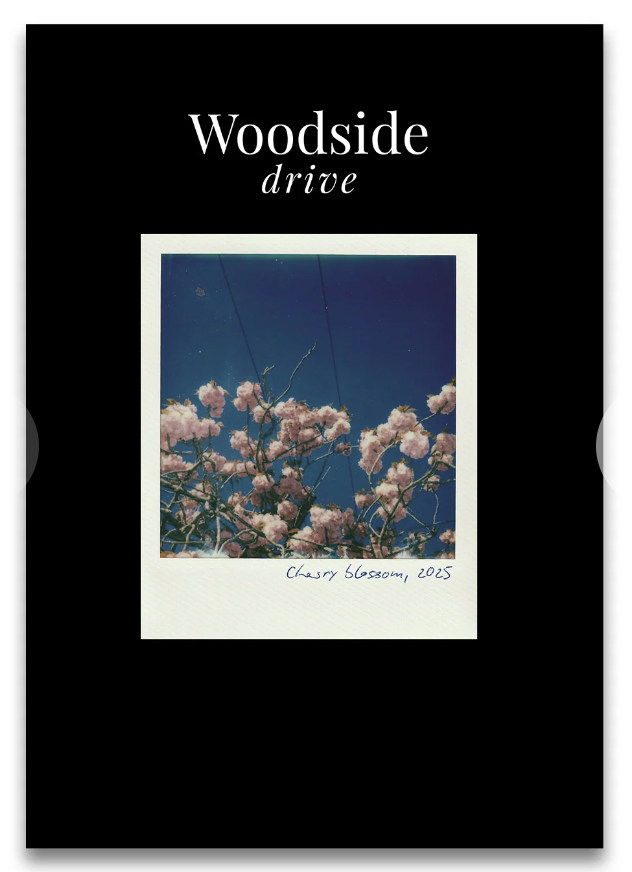 Cover of Woodside Drive by Taryn Barling