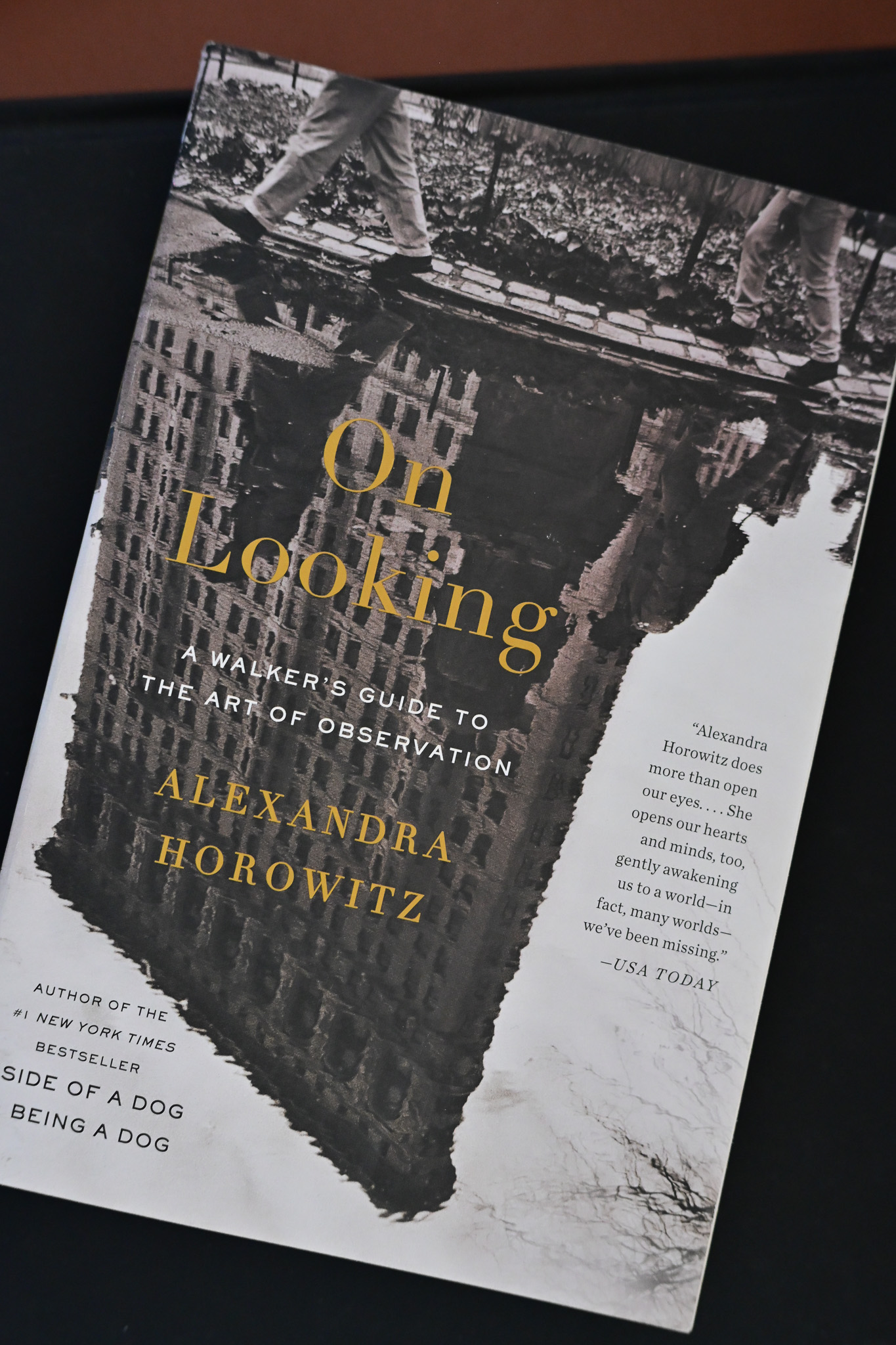Cover of On Looking by Alexandra Horowitz
