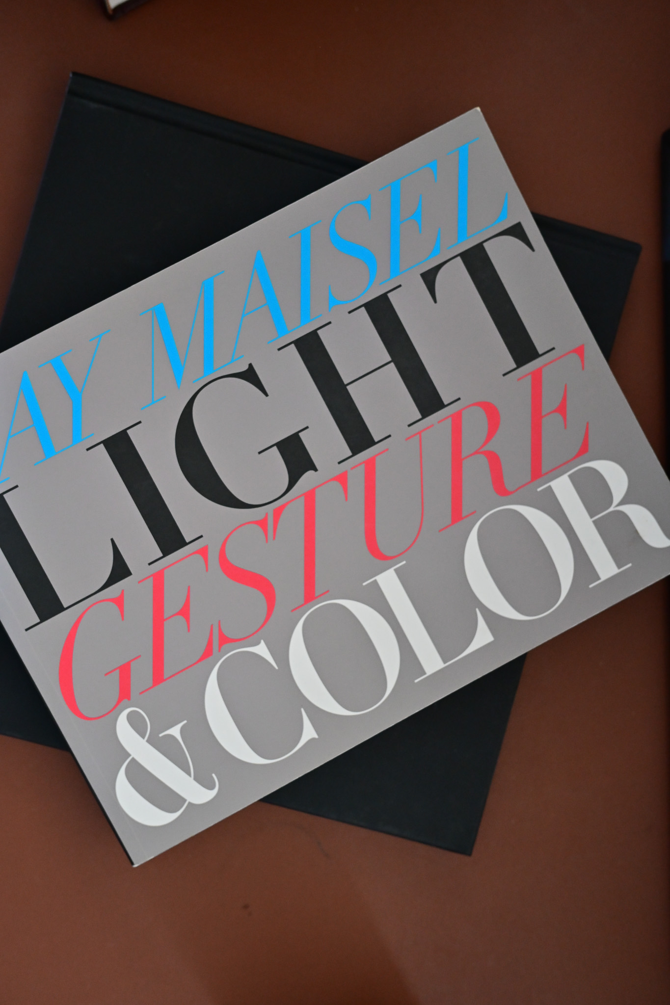 Cover of Light Gesture & Color by Jay Maisel